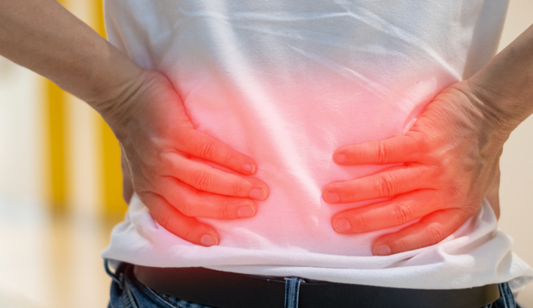 Herniated_Disc_Hernia_Disci_Symptoms_Causes_and_Treatments